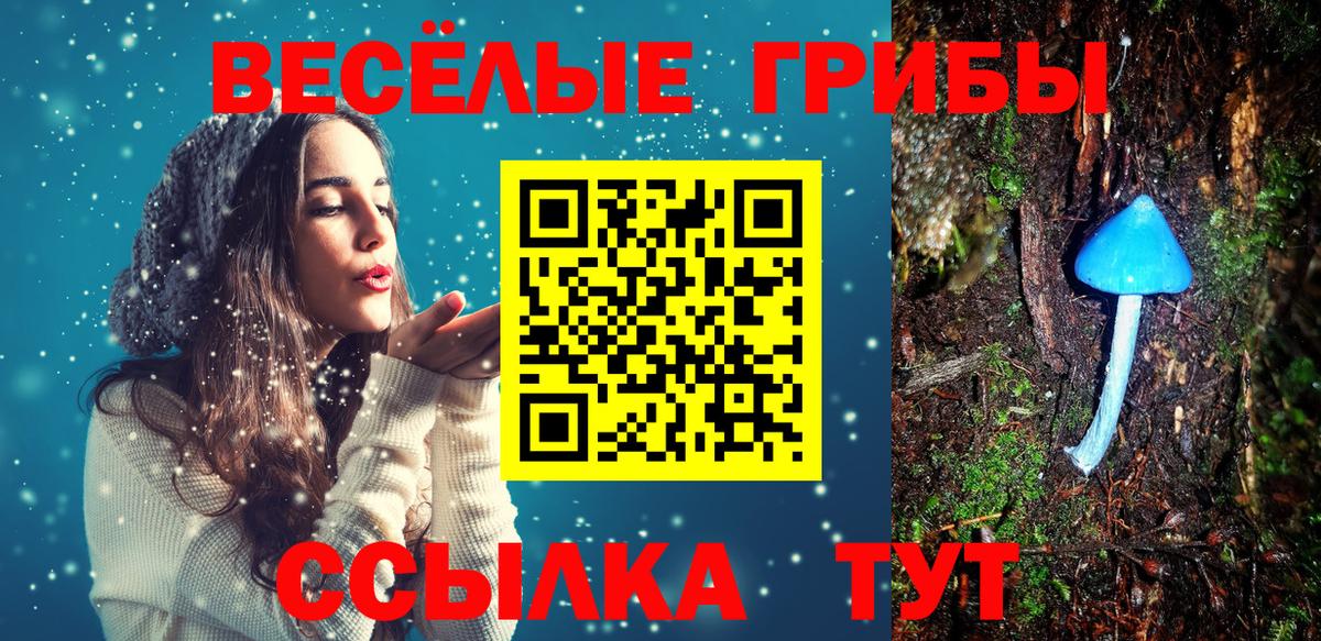 Галлюциногенные грибы мицелий Великий Новгород